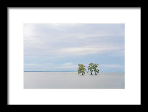 Be Still - Framed Print