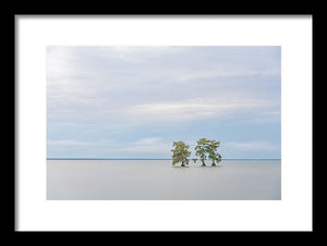 Be Still - Framed Print