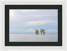 Load image into Gallery viewer, Be Still - Framed Print