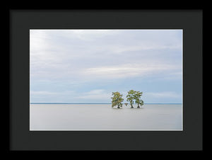 Be Still - Framed Print