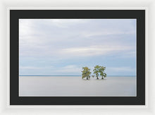 Load image into Gallery viewer, Be Still - Framed Print