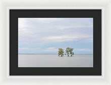 Load image into Gallery viewer, Be Still - Framed Print