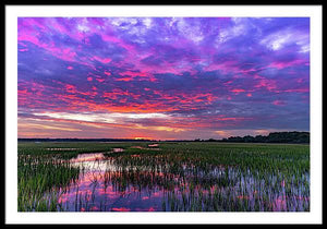 Cotton Ball Sky - Framed Print