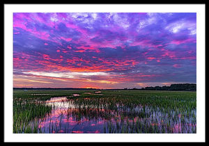 Cotton Ball Sky - Framed Print