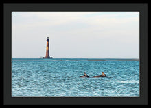 Load image into Gallery viewer, Dolfriends Of Charleston - Framed Print