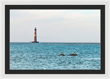 Load image into Gallery viewer, Dolfriends Of Charleston - Framed Print
