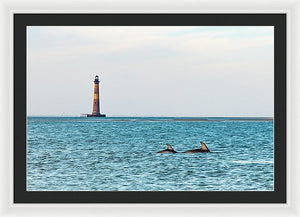 Dolfriends Of Charleston - Framed Print