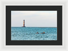 Load image into Gallery viewer, Dolfriends Of Charleston - Framed Print