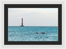 Load image into Gallery viewer, Dolfriends Of Charleston - Framed Print