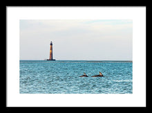 Load image into Gallery viewer, Dolfriends Of Charleston - Framed Print