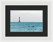 Load image into Gallery viewer, Dolfriends Of Charleston - Framed Print