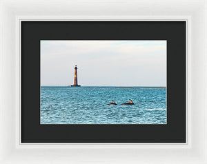 Dolfriends Of Charleston - Framed Print