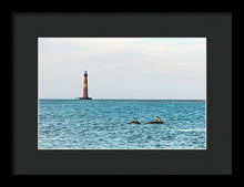 Load image into Gallery viewer, Dolfriends Of Charleston - Framed Print