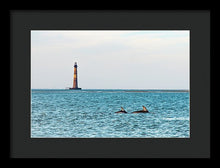 Load image into Gallery viewer, Dolfriends Of Charleston - Framed Print