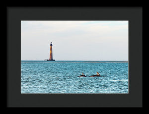 Dolfriends Of Charleston - Framed Print