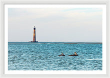 Load image into Gallery viewer, Dolfriends Of Charleston - Framed Print