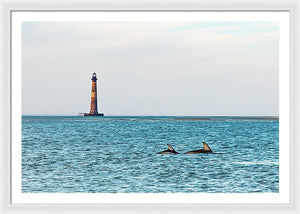 Dolfriends Of Charleston - Framed Print
