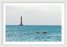 Load image into Gallery viewer, Dolfriends Of Charleston - Framed Print