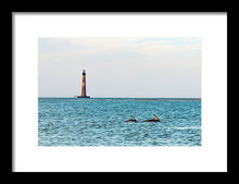 Load image into Gallery viewer, Dolfriends Of Charleston - Framed Print