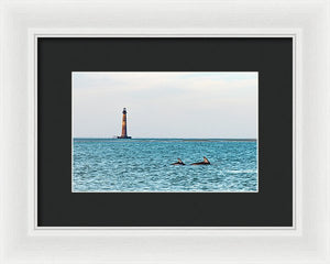 Dolfriends Of Charleston - Framed Print