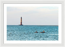 Load image into Gallery viewer, Dolfriends Of Charleston - Framed Print