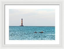 Load image into Gallery viewer, Dolfriends Of Charleston - Framed Print