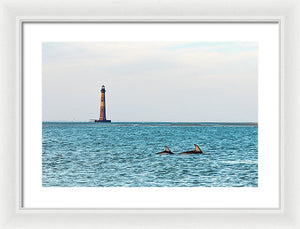 Dolfriends Of Charleston - Framed Print