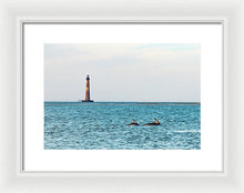 Load image into Gallery viewer, Dolfriends Of Charleston - Framed Print