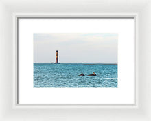 Load image into Gallery viewer, Dolfriends Of Charleston - Framed Print