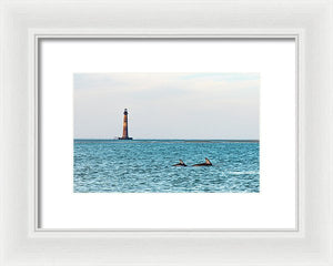 Dolfriends Of Charleston - Framed Print