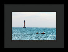 Load image into Gallery viewer, Dolfriends Of Charleston - Framed Print