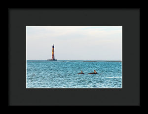 Dolfriends Of Charleston - Framed Print