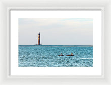 Load image into Gallery viewer, Dolfriends Of Charleston - Framed Print