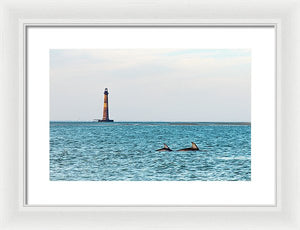 Dolfriends Of Charleston - Framed Print