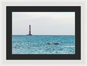 Dolfriends Of Charleston - Framed Print