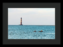 Load image into Gallery viewer, Dolfriends Of Charleston - Framed Print