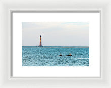 Load image into Gallery viewer, Dolfriends Of Charleston - Framed Print