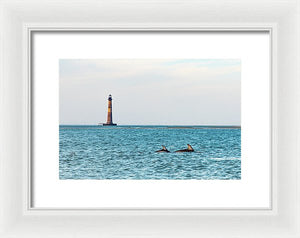 Dolfriends Of Charleston - Framed Print