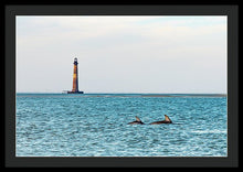 Load image into Gallery viewer, Dolfriends Of Charleston - Framed Print