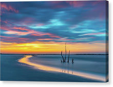 Load image into Gallery viewer, folly color ryan kasyan canvas