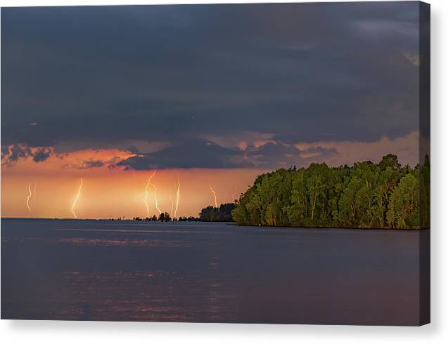 Forest Lightning - Canvas Print