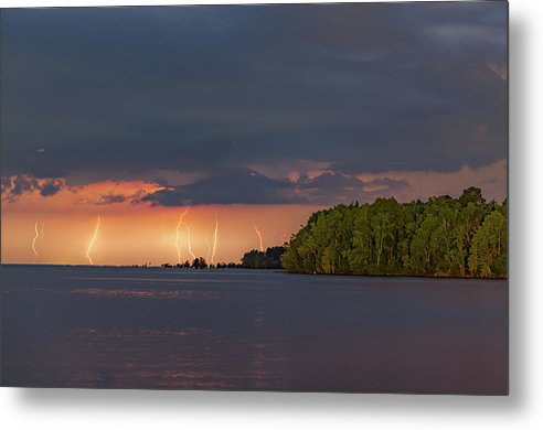 Forest Lightning - Metal Print