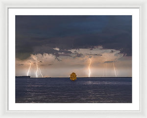 Lightning Tree - Framed Print