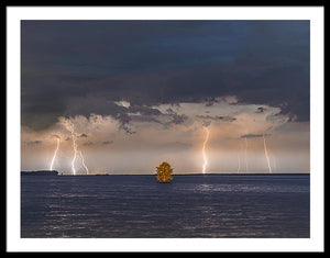 Lightning Tree - Framed Print