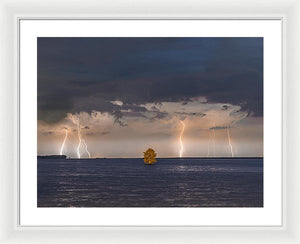 Lightning Tree - Framed Print