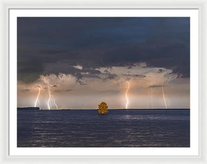 Lightning Tree - Framed Print