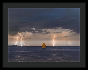 Lightning Tree - Framed Print