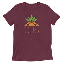 Load image into Gallery viewer, Charleston Pineapple Color Unisex t-shirt