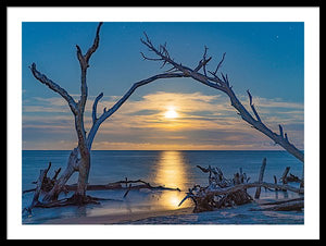 Rising Moon - Framed Print