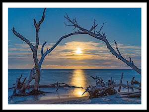 Rising Moon - Framed Print